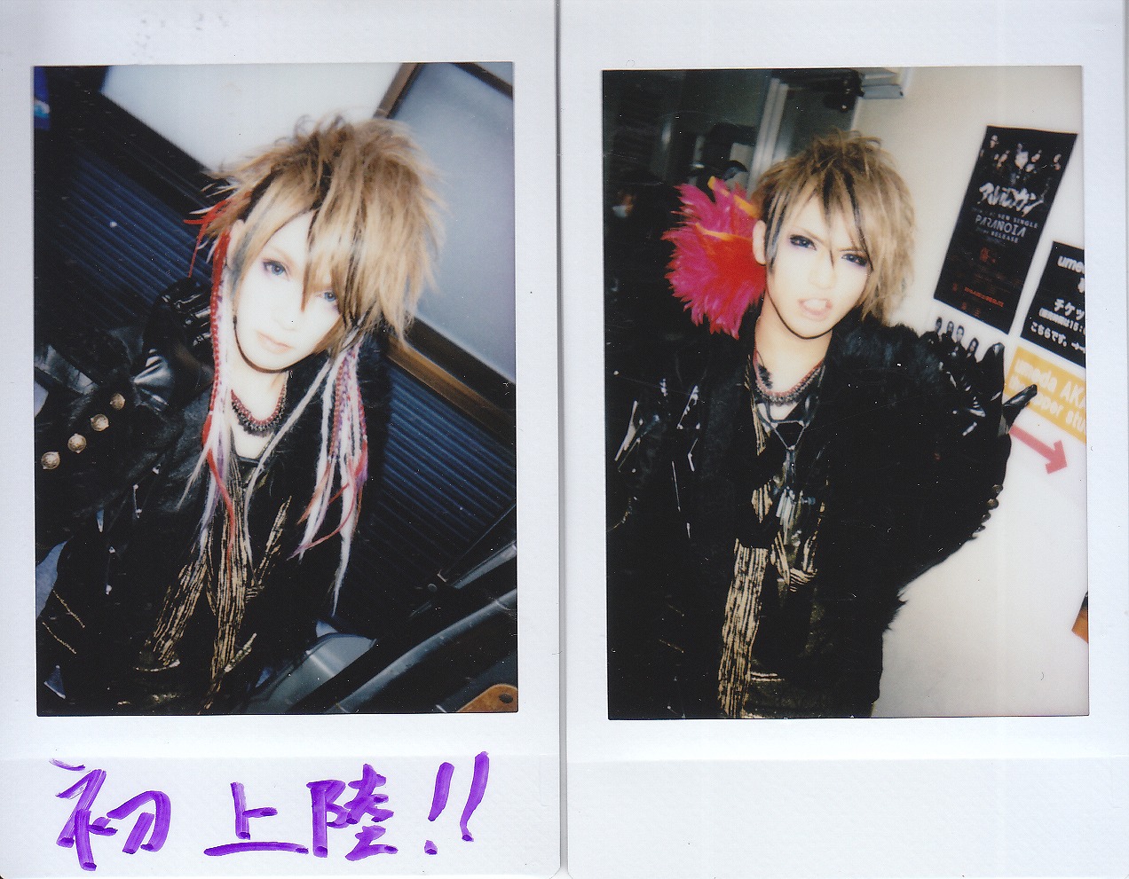 ピュアサウンド / sp_アーティスト_取扱商品