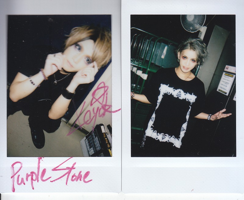 ピュアサウンド / sp_アーティスト_取扱商品