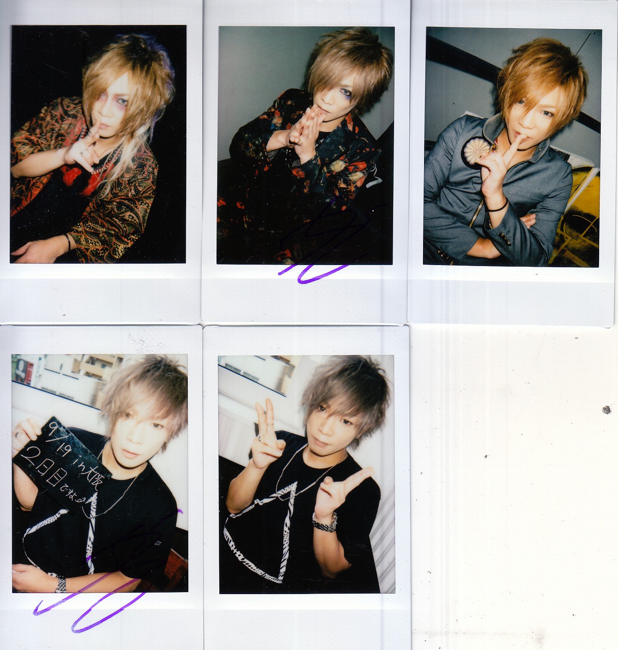 ピュアサウンド / sp_アーティスト_取扱商品