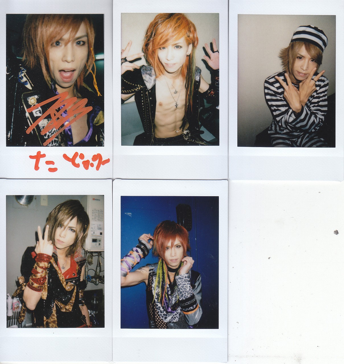 生写真(男性)/ヴィジュアル系バンド/Royz Royz/智也/バスト
