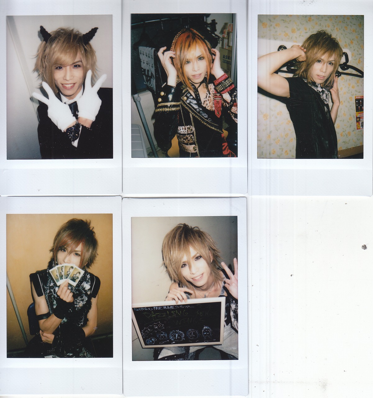 Royz チェキ ピュアサウンド / sp_アーティスト_取扱商品