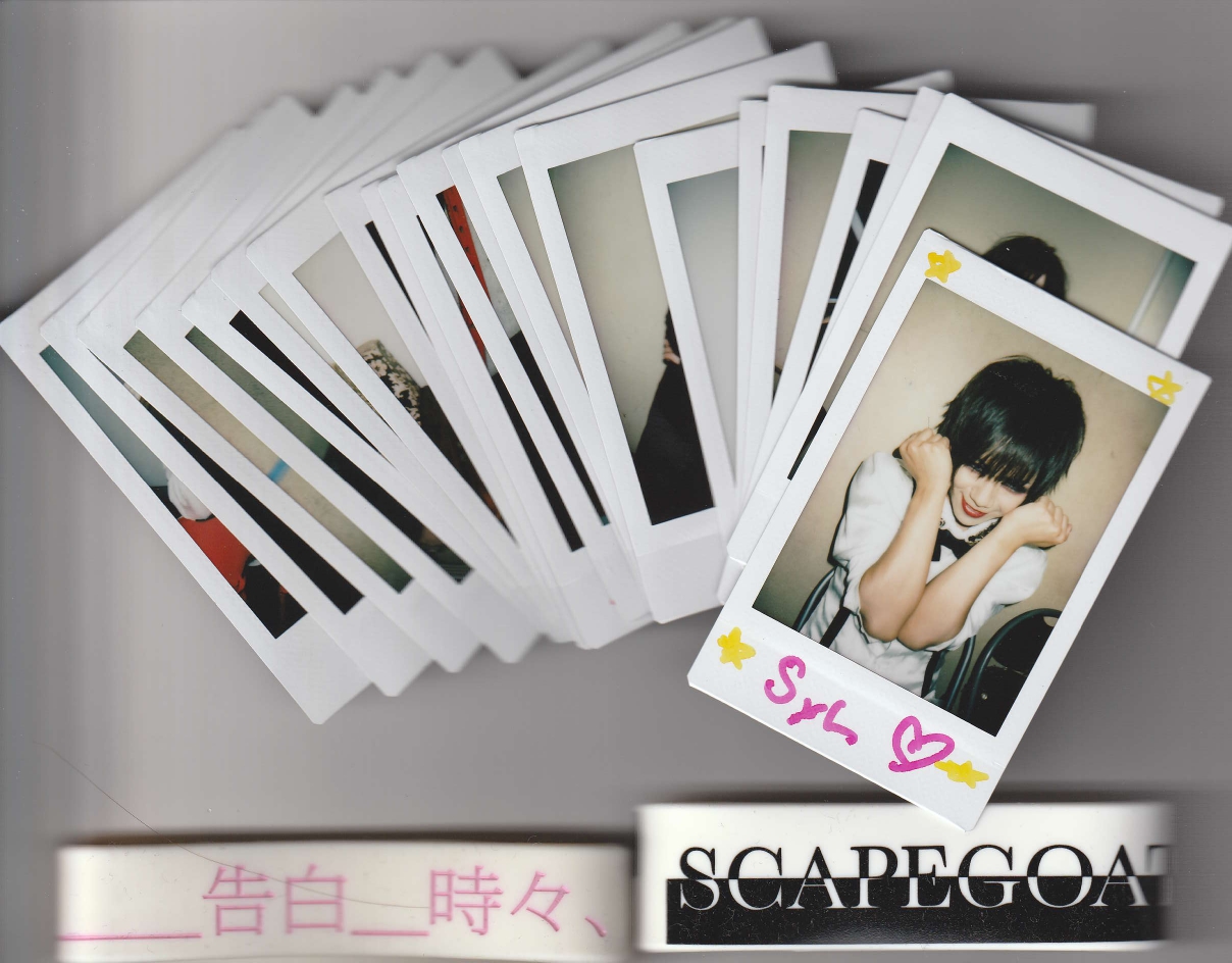 SCAPEGOAT の グッズ 詰め合わせ1