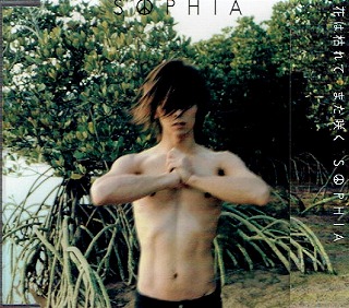 ソフィア の CD 花は枯れて また咲く