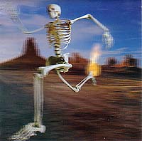 ソフィア の CD 進化論 初回盤