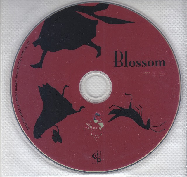 Sugar ( シュガー )  の DVD 「Blossom」PV