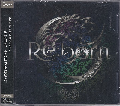 the Raid. ( レイド )  の CD 【E-type】Re:born