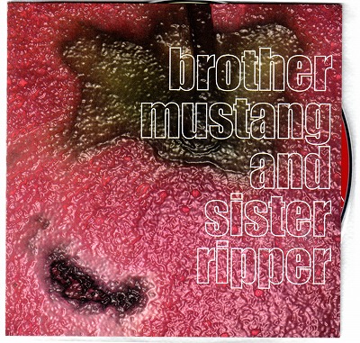 ザゴッドアンドデススターズ の CD brother mustang and sister ripper 通常盤