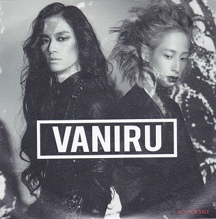 VANIRU ( ヴァニル )  の DVD Introduction Disc