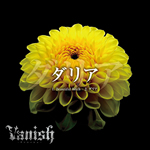 Vanish ( ヴァニッシュ )  の CD ダリア