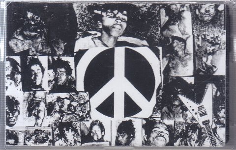 ピュアサウンド / sp_アーティスト_取扱商品_詳細表示