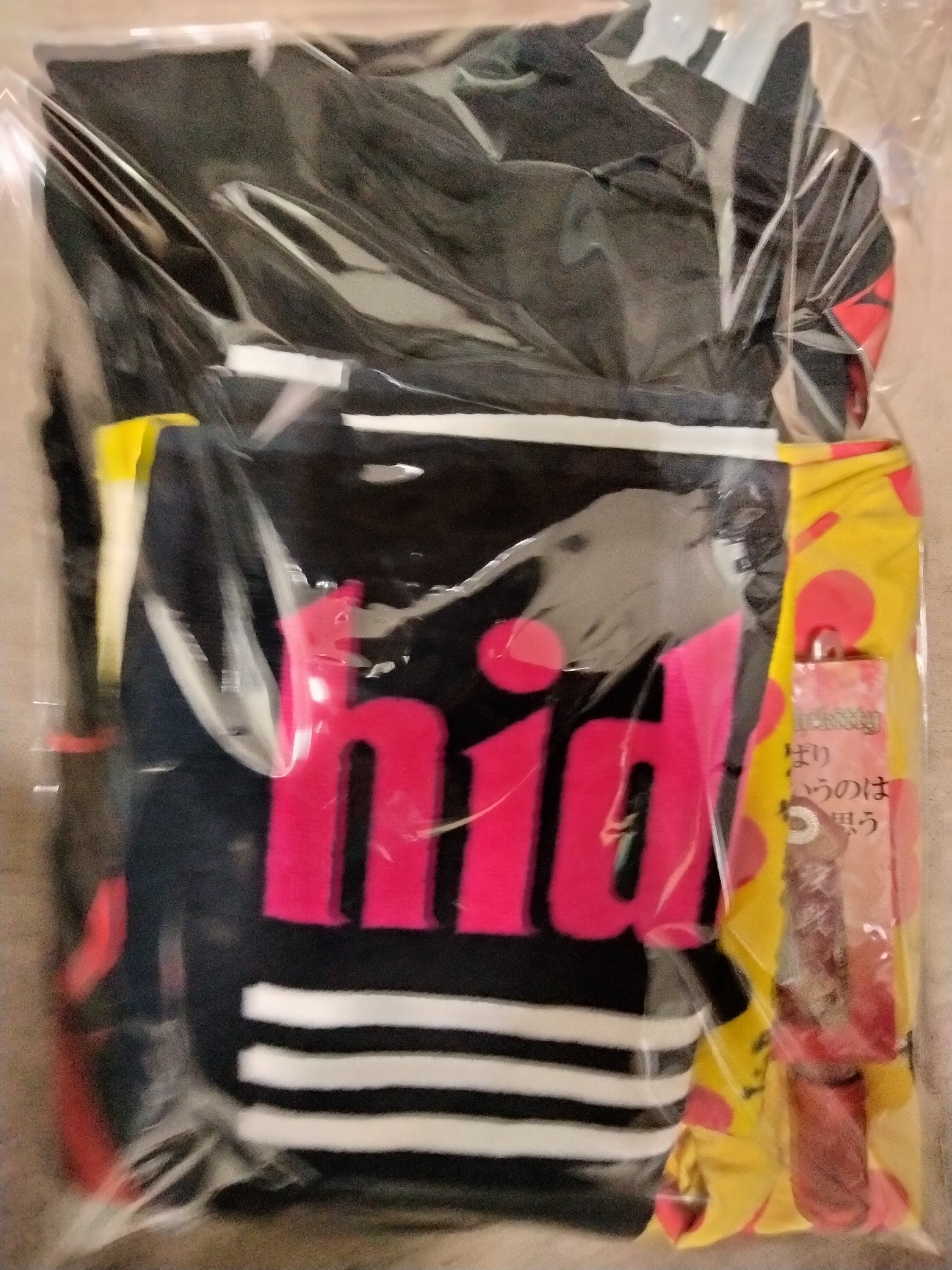 エックスジャパン の グッズ 詰め合わせ11